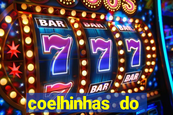 coelhinhas do brasil site